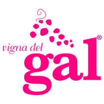 Vigna del Gal (logo WineBox PINK))